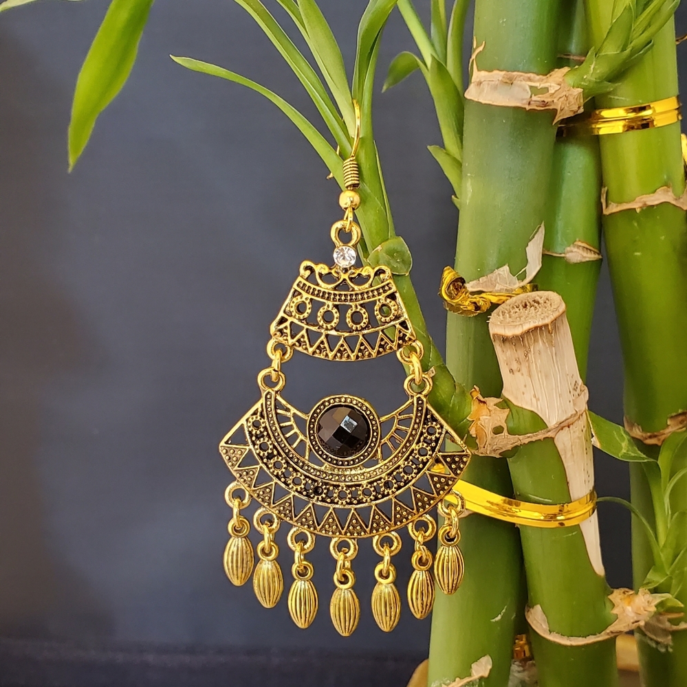 Fancy Earrings